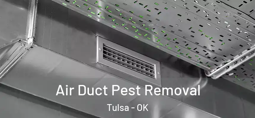 Air Duct Pest Removal Tulsa - OK