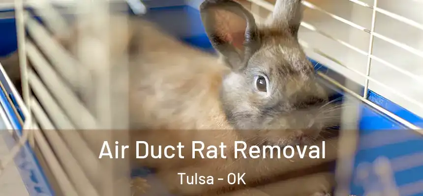 Air Duct Rat Removal Tulsa - OK
