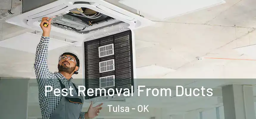 Pest Removal From Ducts Tulsa - OK