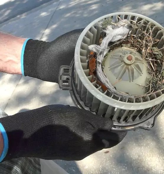 About Air Duct Mice Removal in Tulsa, OK