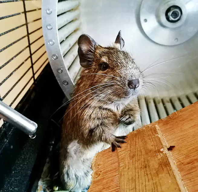 Why Homeowners & Businesses Trust Us Tulsa, OK